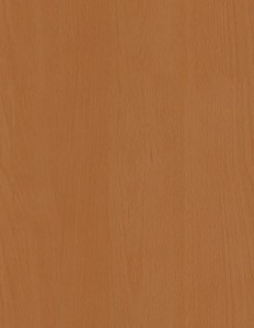 top_bg01